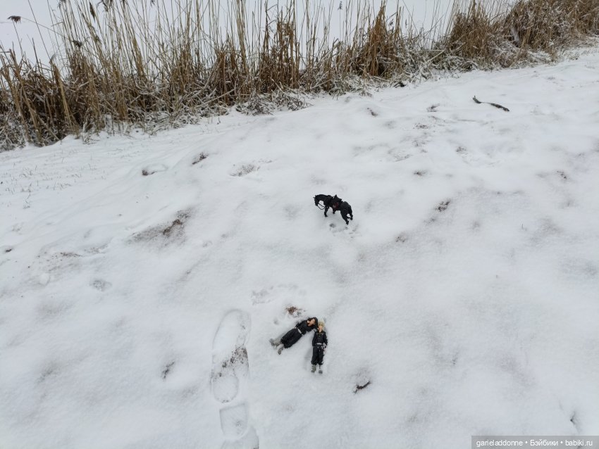 Терновое вино часть 8 — Зарисовки из кукольной жизни: фотоистории