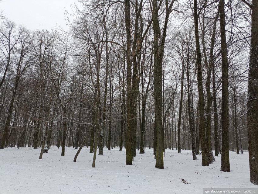 Терновое вино часть 8 — Зарисовки из кукольной жизни: фотоистории