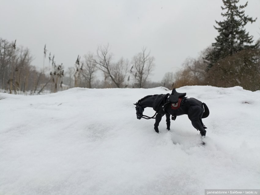 Терновое вино часть 8 — Зарисовки из кукольной жизни: фотоистории