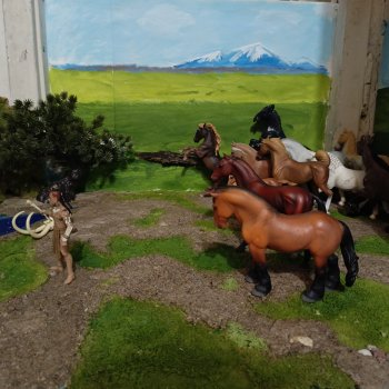 Степь без сюжета