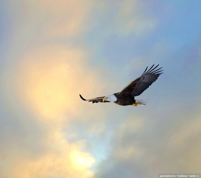 Дом Ласточек вторая часть