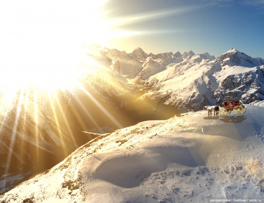 Дом ласточек четвертая часть (фото 2)