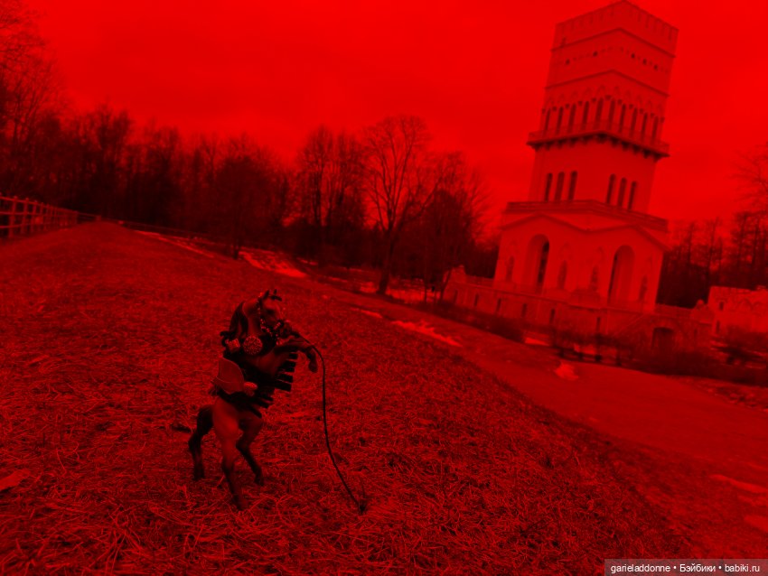 Дом ласточек 7 часть — Зарисовки из кукольной жизни: фотоистории