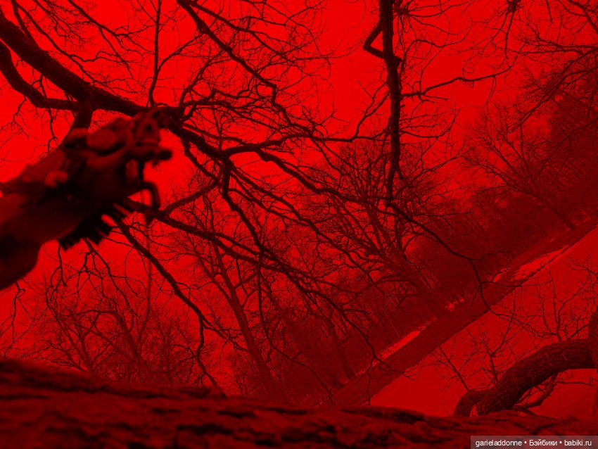 Дом ласточек 7 часть — Зарисовки из кукольной жизни: фотоистории (фото 2)