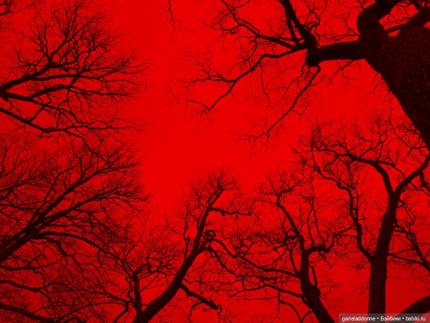 Дом ласточек 7 часть — Зарисовки из кукольной жизни: фотоистории