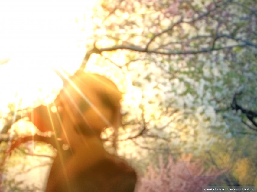 Форпост 4 часть — Зарисовки из кукольной жизни: фотоистории (фото 4)