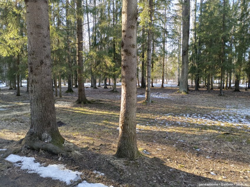 Как Тхан ехал за солнцем — Туризм и путешествия: фотоотчеты из поездок