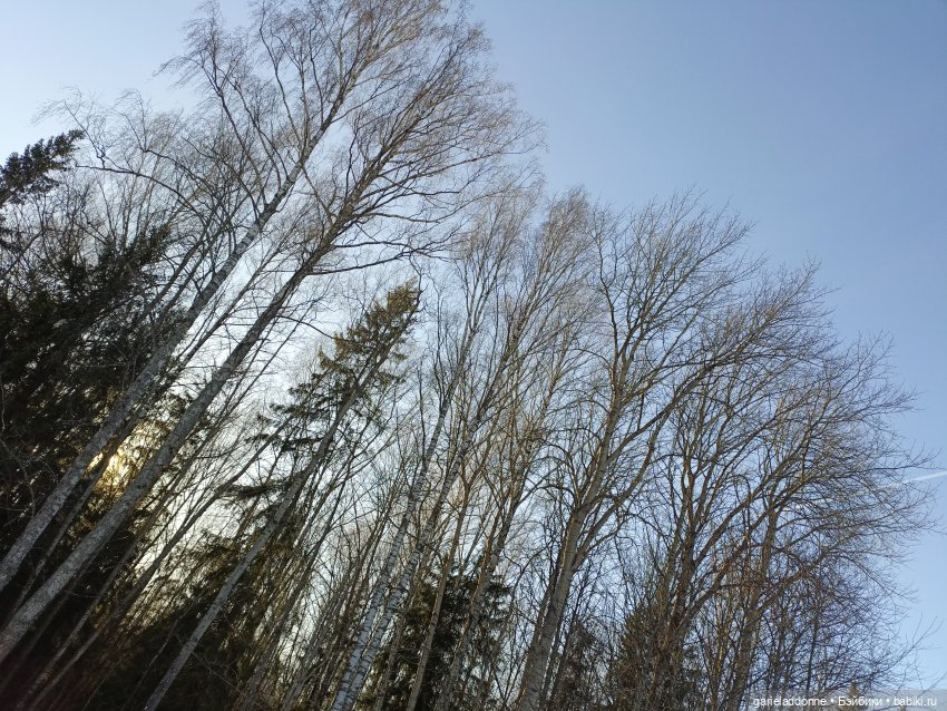 Как Тхан ехал за солнцем — Туризм и путешествия: фотоотчеты из поездок