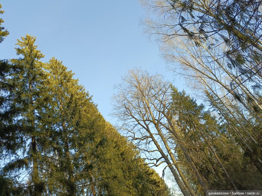 Как Тхан ехал за солнцем — Туризм и путешествия: фотоотчеты из поездок