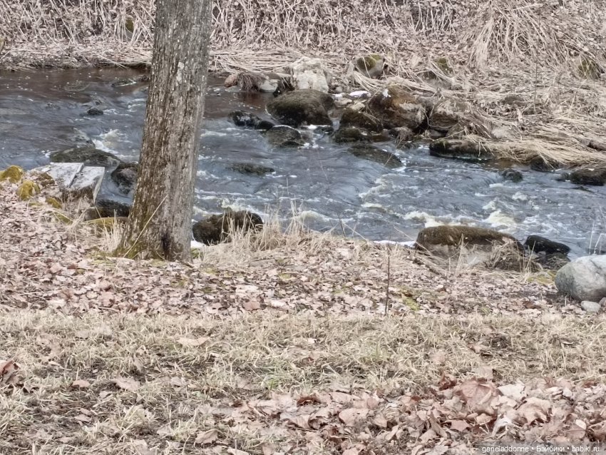 Тхан в Ораниенбауме — Туризм и путешествия: фотоотчеты из поездок