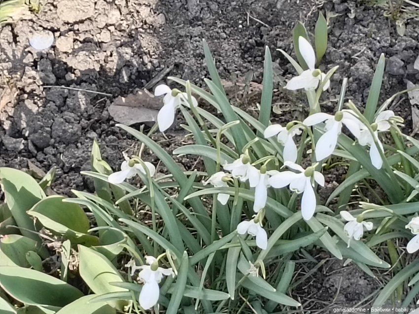 Форпост 6 часть — Зарисовки из кукольной жизни: фотоистории