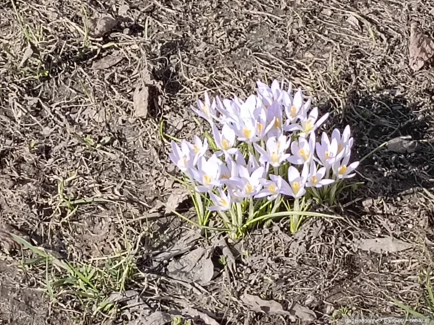 Форпост 6 часть — Зарисовки из кукольной жизни: фотоистории