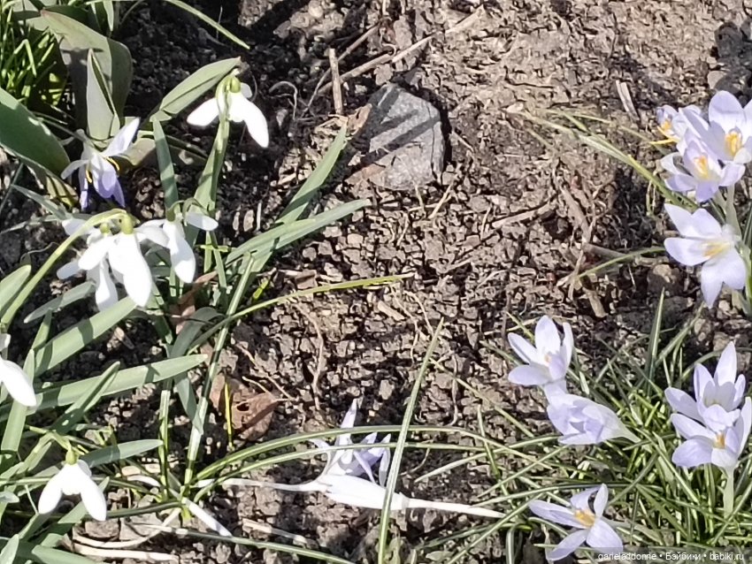 Форпост 7 часть — Зарисовки из кукольной жизни: фотоистории