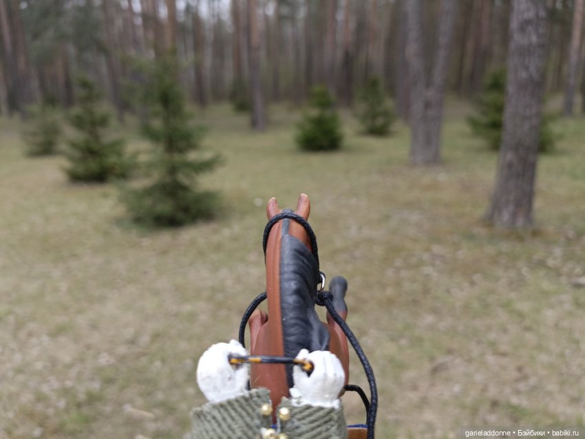 Конная прогулка по Сосновке