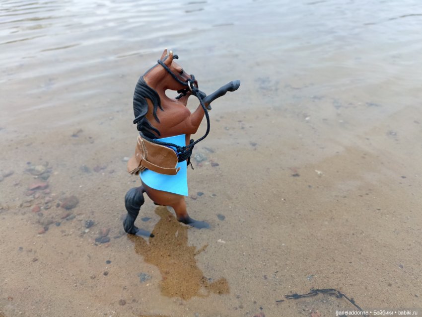 Конная прогулка по Сосновке