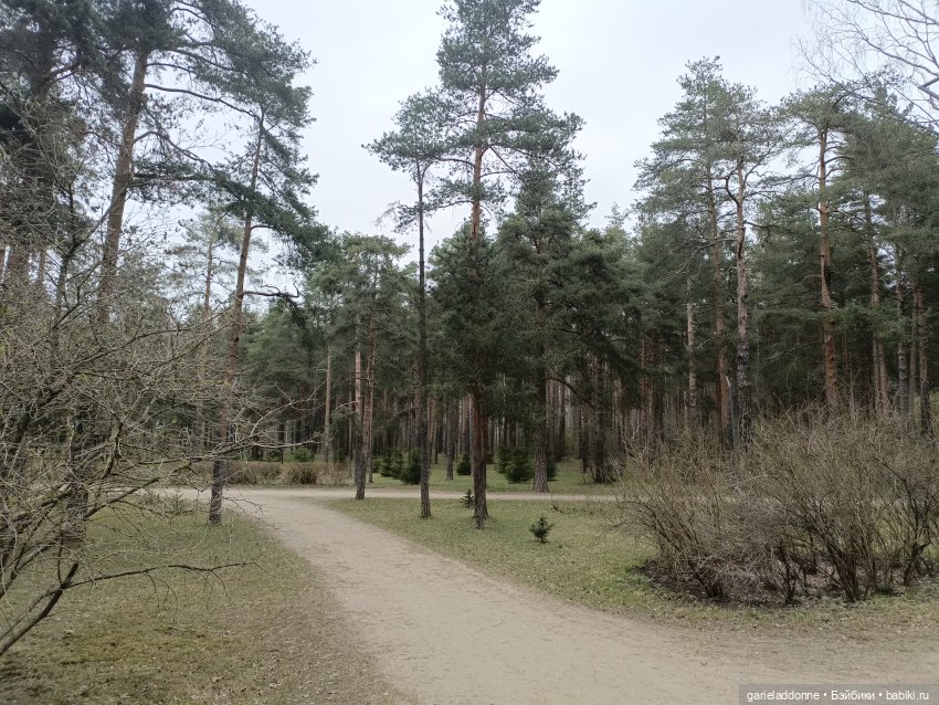 Конная прогулка по Сосновке