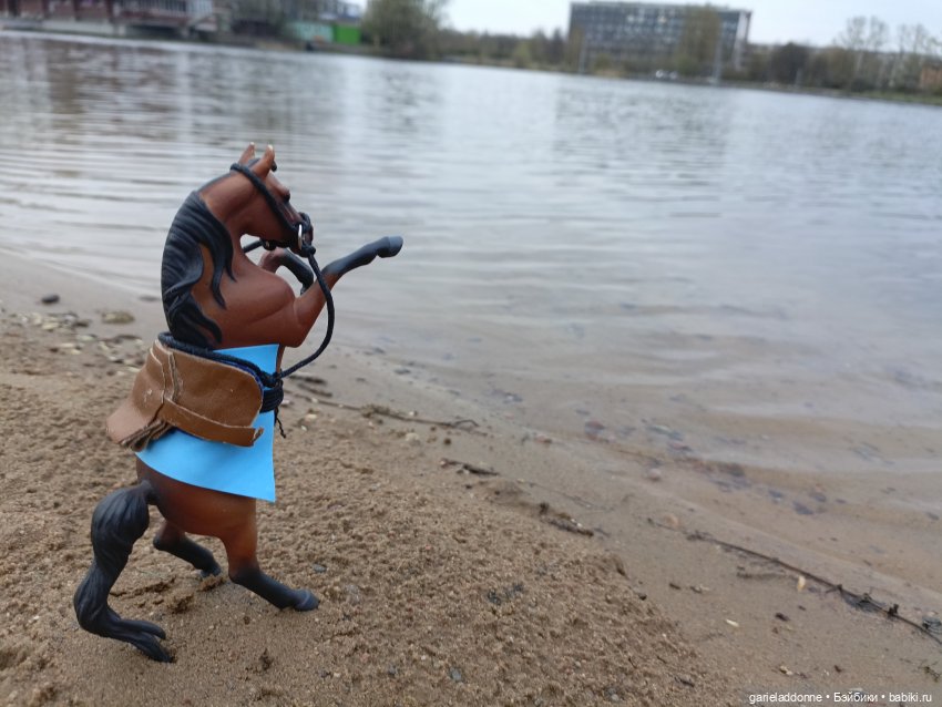 Конная прогулка по Сосновке