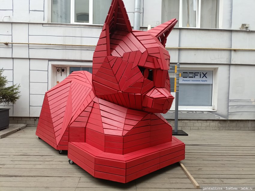 Конная прогулка по Сосновке (фото 5)