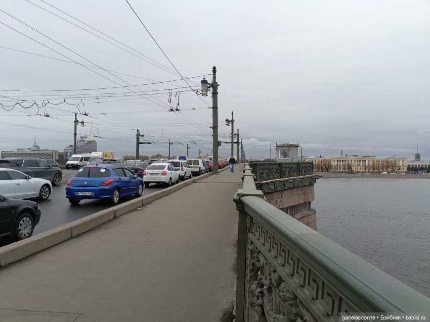 Конная прогулка по Сосновке (фото 7)