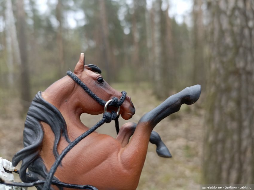 Конная прогулка по Сосновке