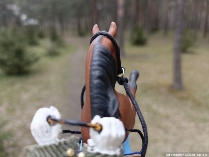 Конная прогулка по Сосновке