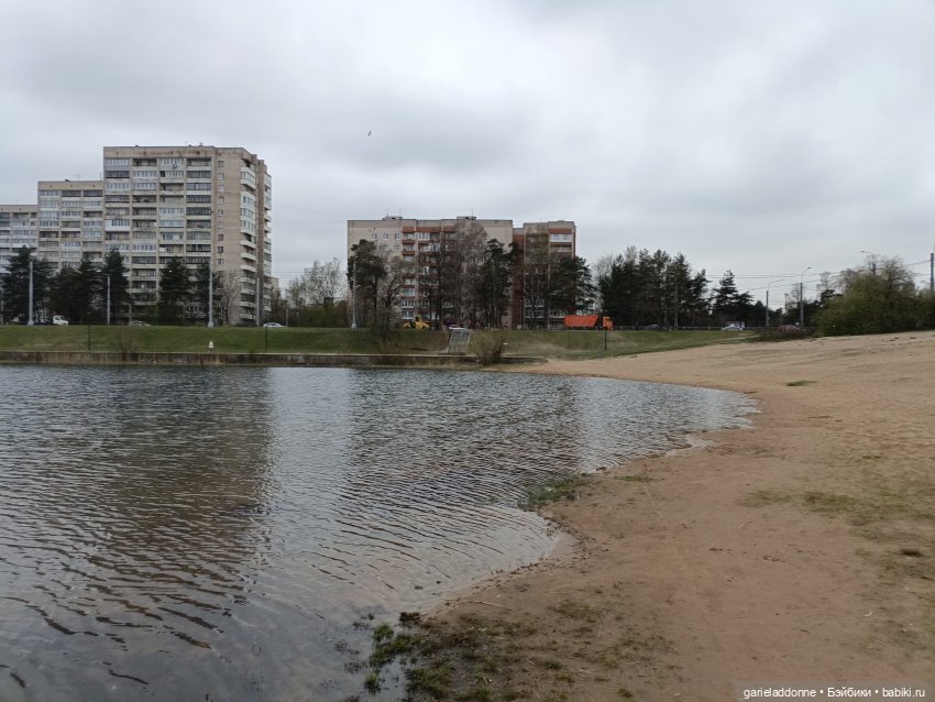 Конная прогулка по Сосновке