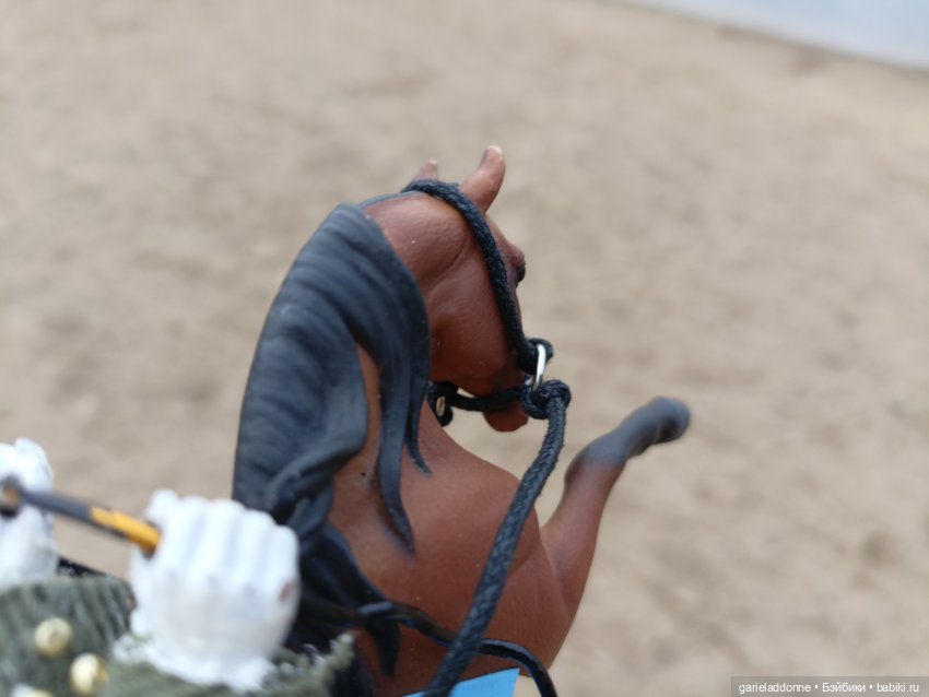 Конная прогулка по Сосновке