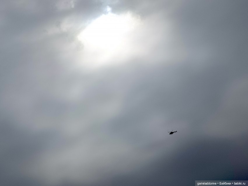 Конная прогулка по Сосновке (фото 8)