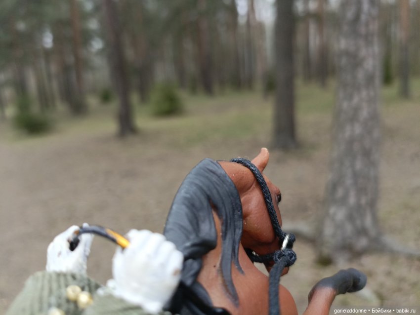 Конная прогулка по Сосновке