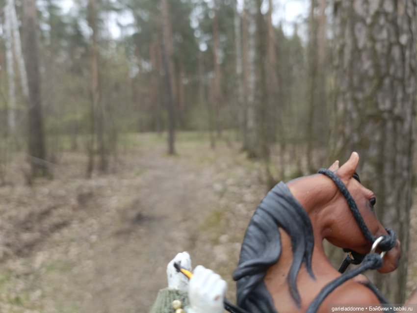 Конная прогулка по Сосновке