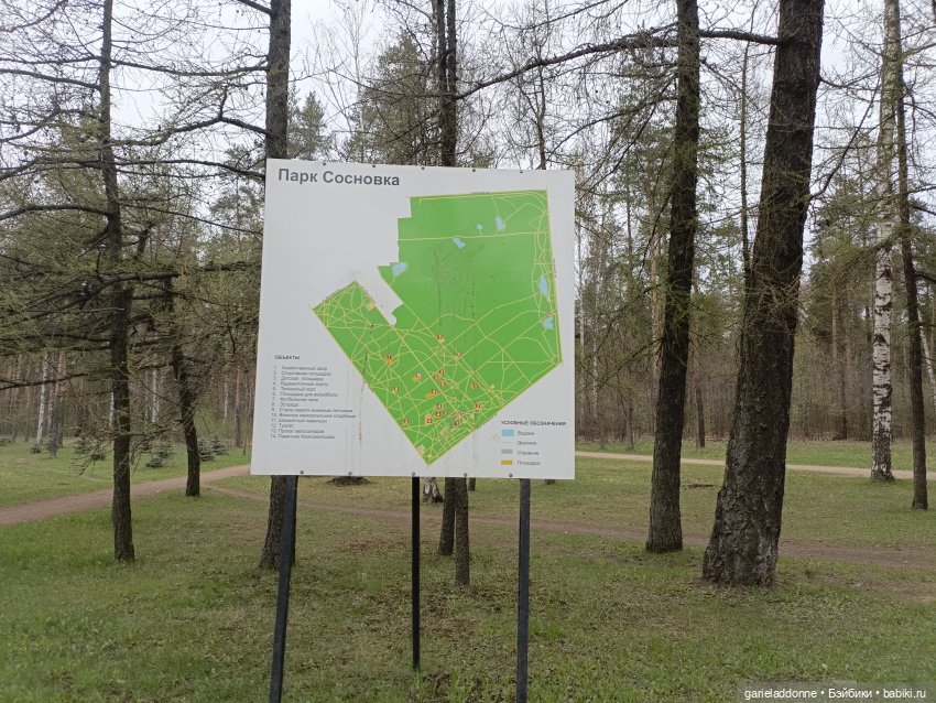 Конная прогулка по Сосновке (фото 9)