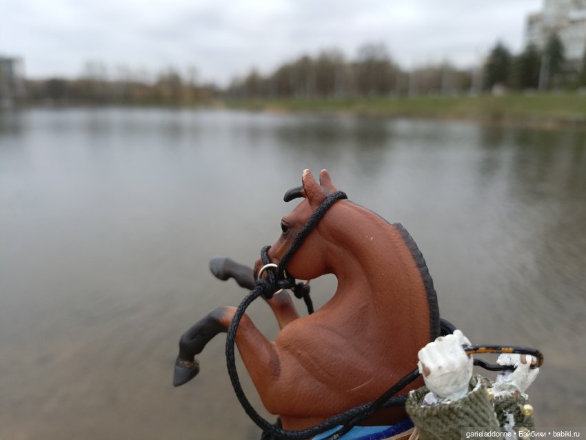 Конная прогулка по Сосновке