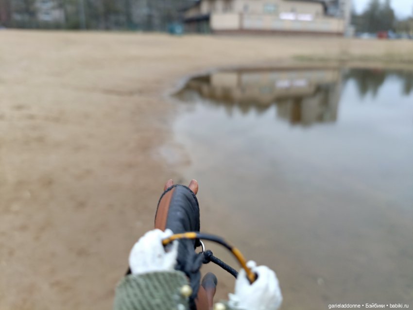 Конная прогулка по Сосновке