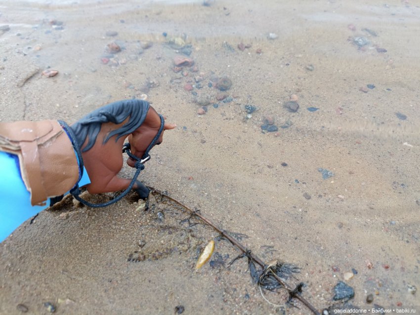 Конная прогулка по Сосновке