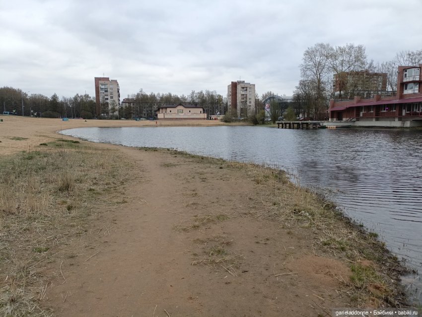 Конная прогулка по Сосновке