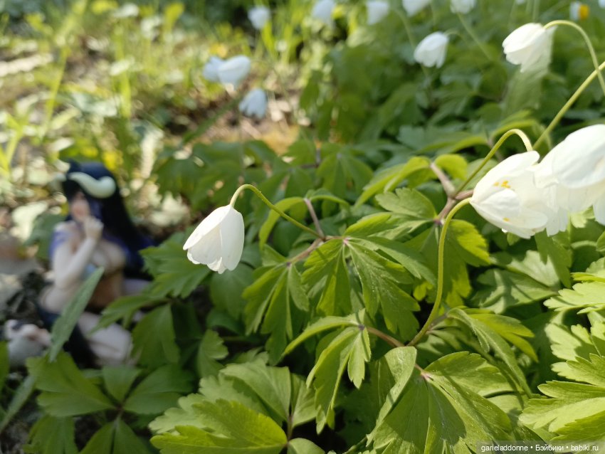 Форпост 2 Отблески Пангеи часть 4 Хатор