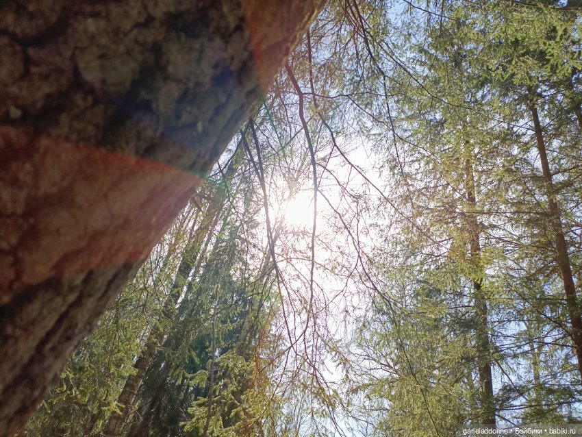 Форпост 2 Отблески Пангеи часть 4 Хатор