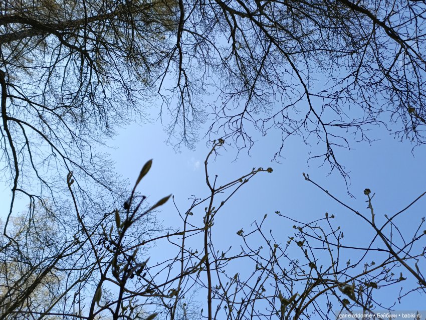 Форпост 2 Отблески Пангеи часть 4 Хатор