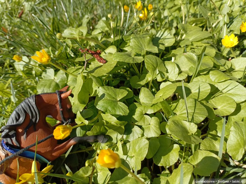 Форпост 2 Отблески Пангеи часть 4 Хатор