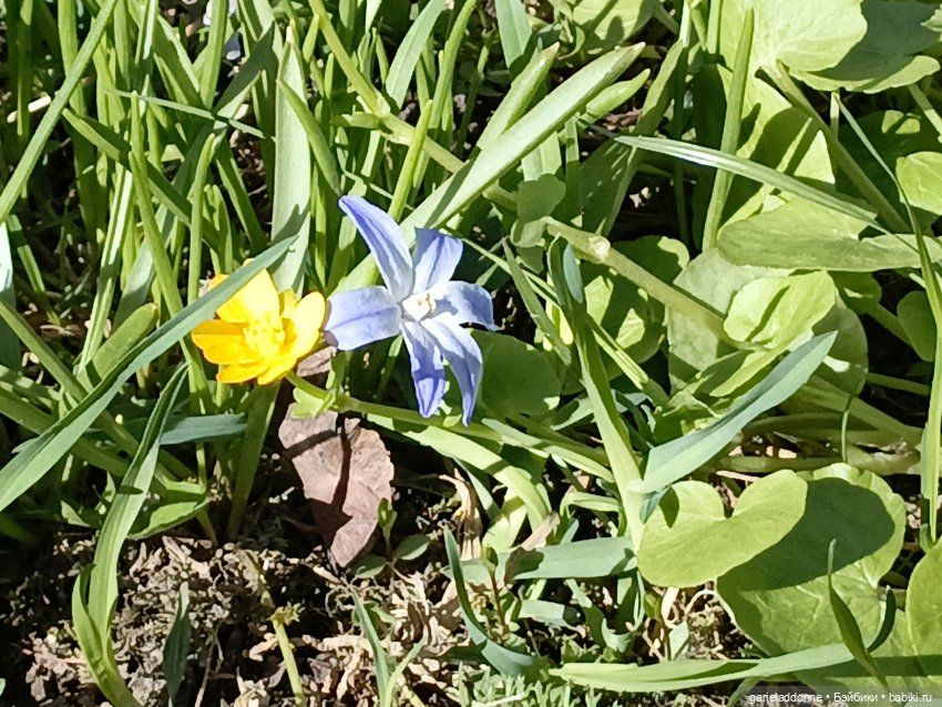 Форпост 2 Отблески Пангеи часть 4 Хатор