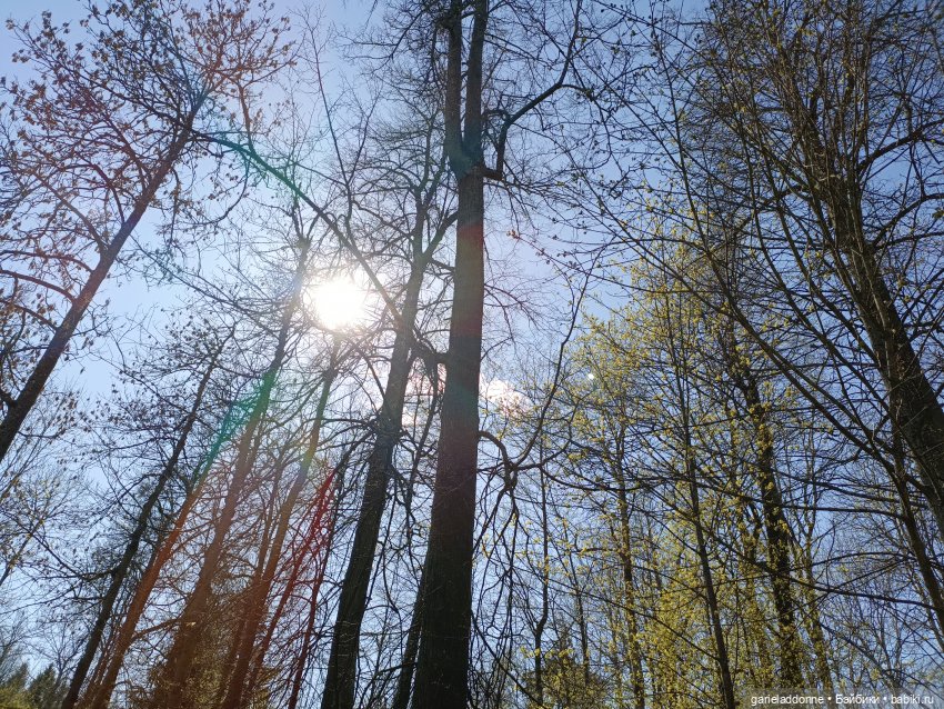 Форпост 2 Отблески Пангеи часть 4 Хатор (фото 8)