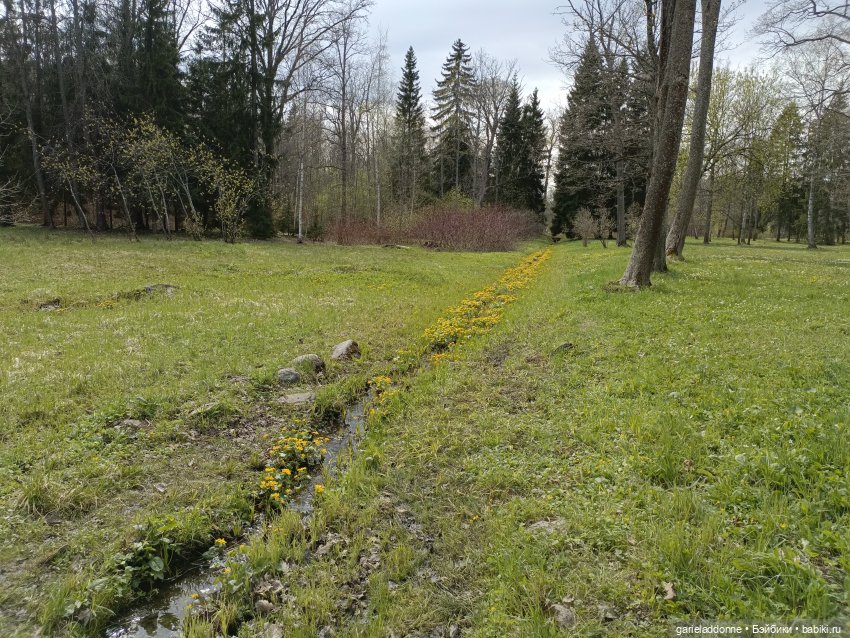 Форпост 2 Отблески Пангеи. Часть 6 Неволя