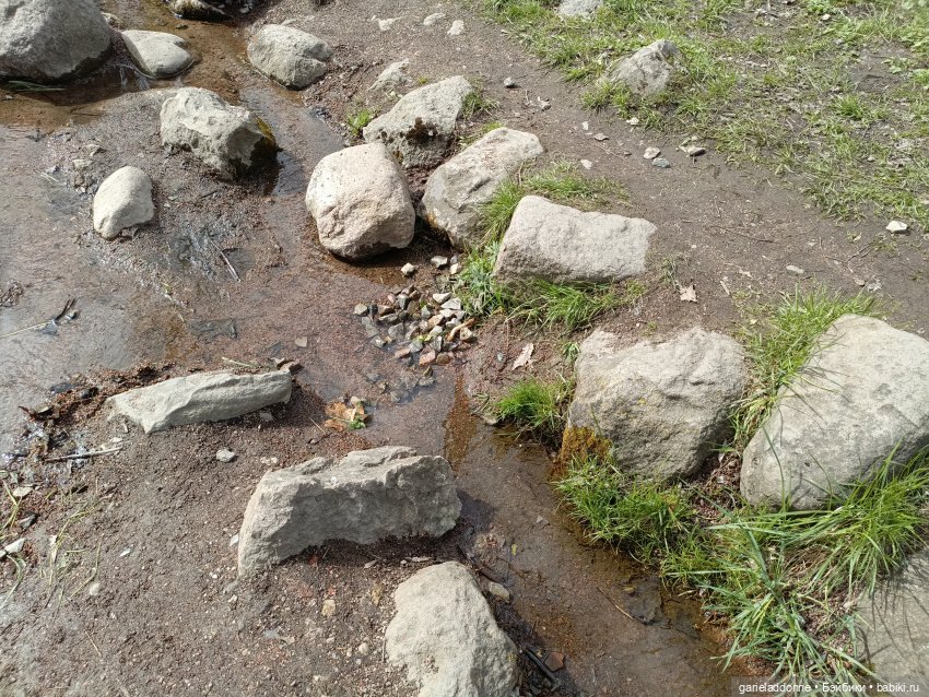 Форпост 2 Отблески Пангеи. Часть 6 Неволя