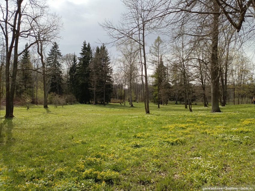 Форпост 2 Отблески Пангеи. Часть 6 Неволя