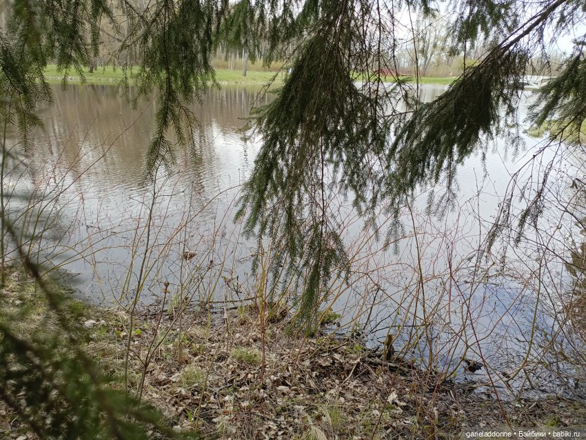 Форпост 2 Отблески Пангеи. Часть 7 Катарсис