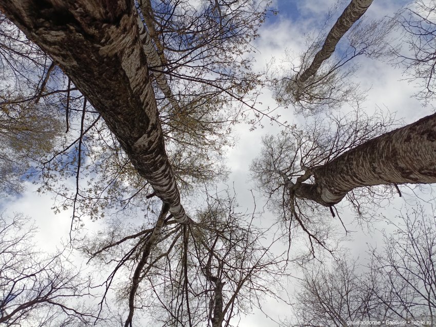 Форпост 2 Отблески Пангеи. Часть 7 Катарсис