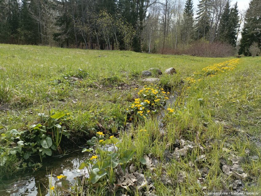 Форпост 2 Отблески Пангеи. Часть 6 Неволя