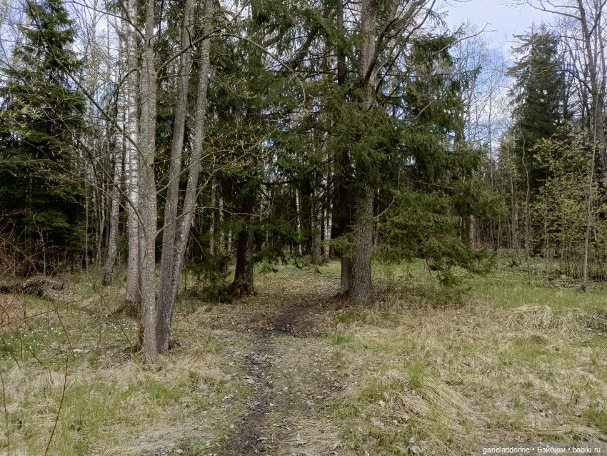 Форпост 2 Отблески Пангеи. Часть 7 Катарсис