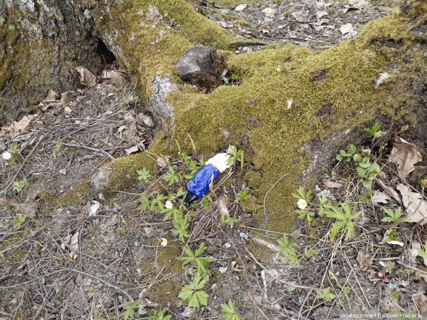 Форпост 2 Отблески Пангеи. Часть 7 Катарсис