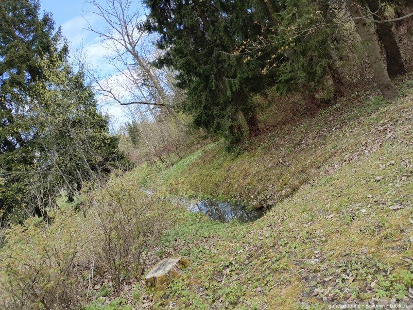 Форпост 2 Отблески Пангеи. Часть 6 Неволя